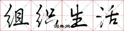 组织生活怎么写好看,组织生活书法图片