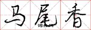 马尾香怎么写好看,马尾香书法图片
