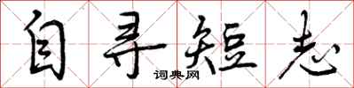 自寻短志怎么写好看，自寻短志书法图片