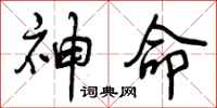 神命怎么写好看，神命书法图片