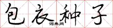 包衣种子怎么写好看,包衣种子书法图片