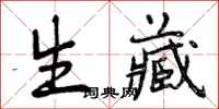 生藏怎么写好看，生藏书法图片