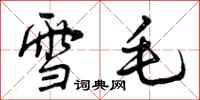 雪毛怎么写好看，雪毛书法图片