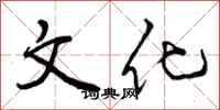 文化怎么写好看，文化书法图片