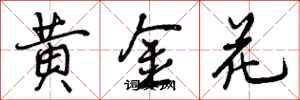 黄金花怎么写好看，黄金花书法图片