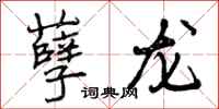 孽龙怎么写好看,孽龙书法图片