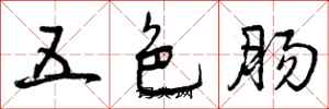 五色肠怎么写好看，五色肠书法图片