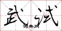 武试怎么写好看，武试书法图片