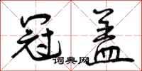 冠盖怎么写好看，冠盖书法图片