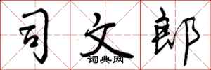 司文郎怎么写好看，司文郎书法图片