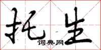 托生怎么写好看,托生书法图片