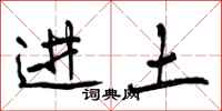 进土怎么写好看，进土书法图片