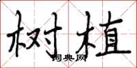 树植怎么写好看,树植书法图片