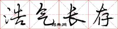 浩气长存怎么写好看，浩气长存书法图片