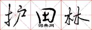 护田林怎么写好看,护田林书法图片