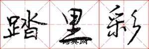 踏里彩怎么写好看，踏里彩书法图片