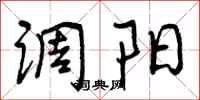调阳怎么写好看，调阳书法图片