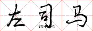 左司马怎么写好看，左司马书法图片