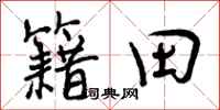 籍田怎么写好看,籍田书法图片