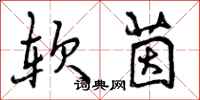 软茵怎么写好看,软茵书法图片