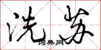 洗苏怎么写好看，洗苏书法图片