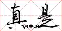 真是怎么写好看,真是书法图片