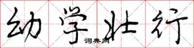幼学壮行怎么写好看，幼学壮行书法图片