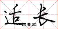 适长怎么写好看，适长书法图片