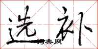 选补怎么写好看，选补书法图片
