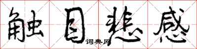 触目悲感怎么写好看,触目悲感书法图片