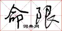 命限怎么写好看，命限书法图片