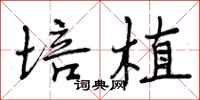 培植怎么写好看,培植书法图片