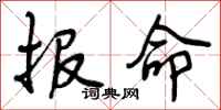 报命怎么写好看,报命书法图片