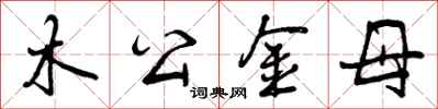 木公金母怎么写好看，木公金母书法图片