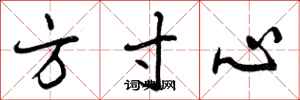 方寸心怎么写好看，方寸心书法图片