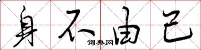身不由己怎么写好看，身不由己书法图片