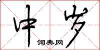 中岁怎么写好看，中岁书法图片