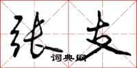 张支怎么写好看，张支书法图片