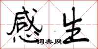 感生怎么写好看，感生书法图片
