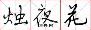 烛夜花怎么写好看,烛夜花书法图片