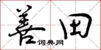 善田怎么写好看，善田书法图片