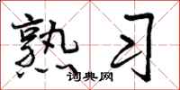 熟习怎么写好看,熟习书法图片