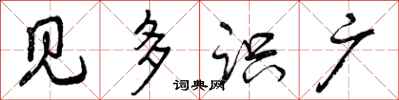 见多识广怎么写好看，见多识广书法图片