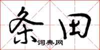条田怎么写好看,条田书法图片