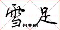 曾庆福雪足行书怎么写