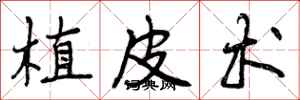 植皮术怎么写好看,植皮术书法图片