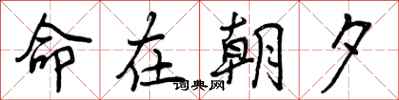 命在朝夕怎么写好看，命在朝夕书法图片