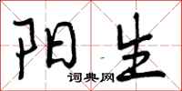 阳生怎么写好看,阳生书法图片