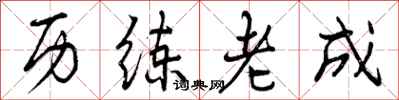 历练老成怎么写好看,历练老成书法图片