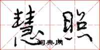 慧照怎么写好看,慧照书法图片